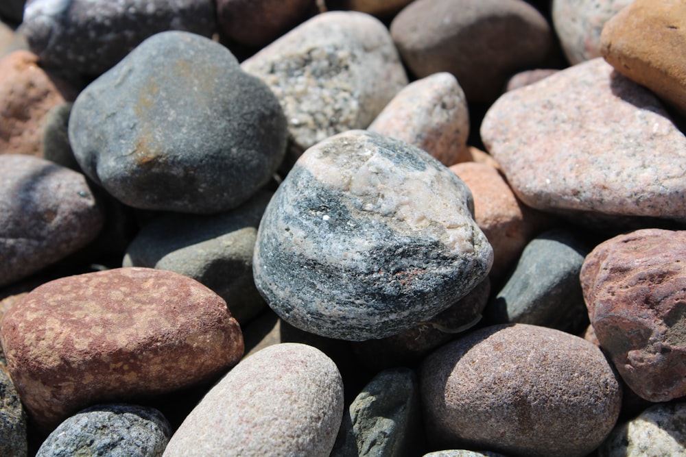 gray and white stone fragments