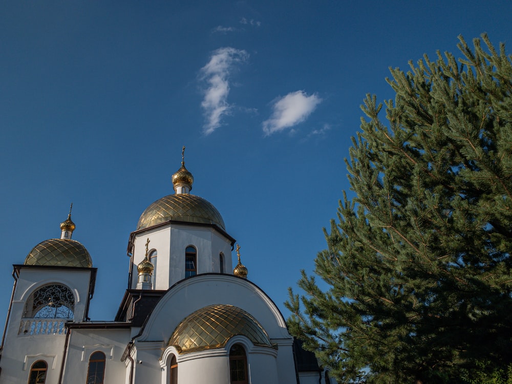 white and gold dome building