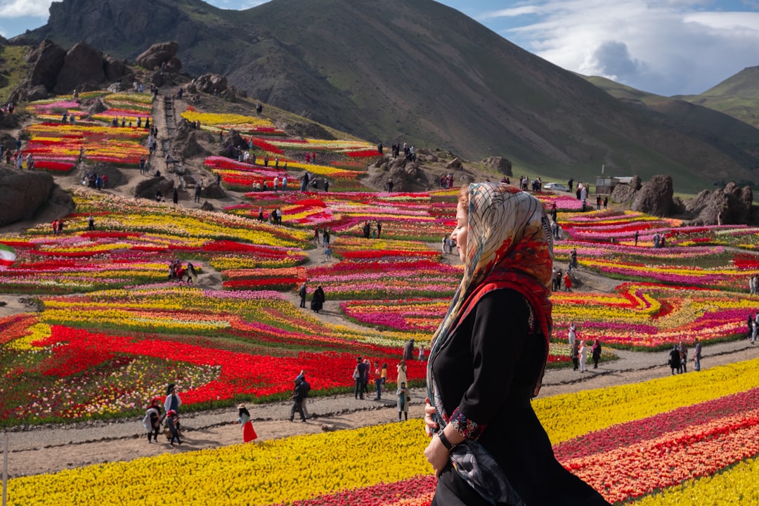 Ecoregion photo spot Tehran Province Iran