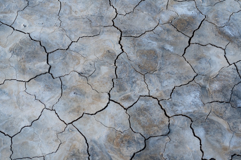 grey and white concrete floor