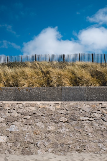 A sturdy precast cement boundary wall surrounding a lush green farm under a clear blue sky.
