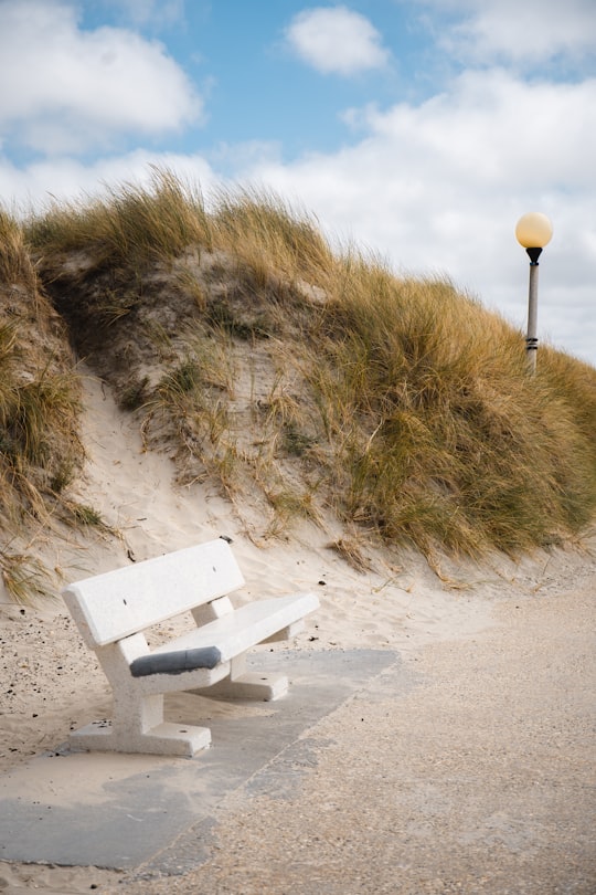 white wooden bench near green grass during daytime in Berck France