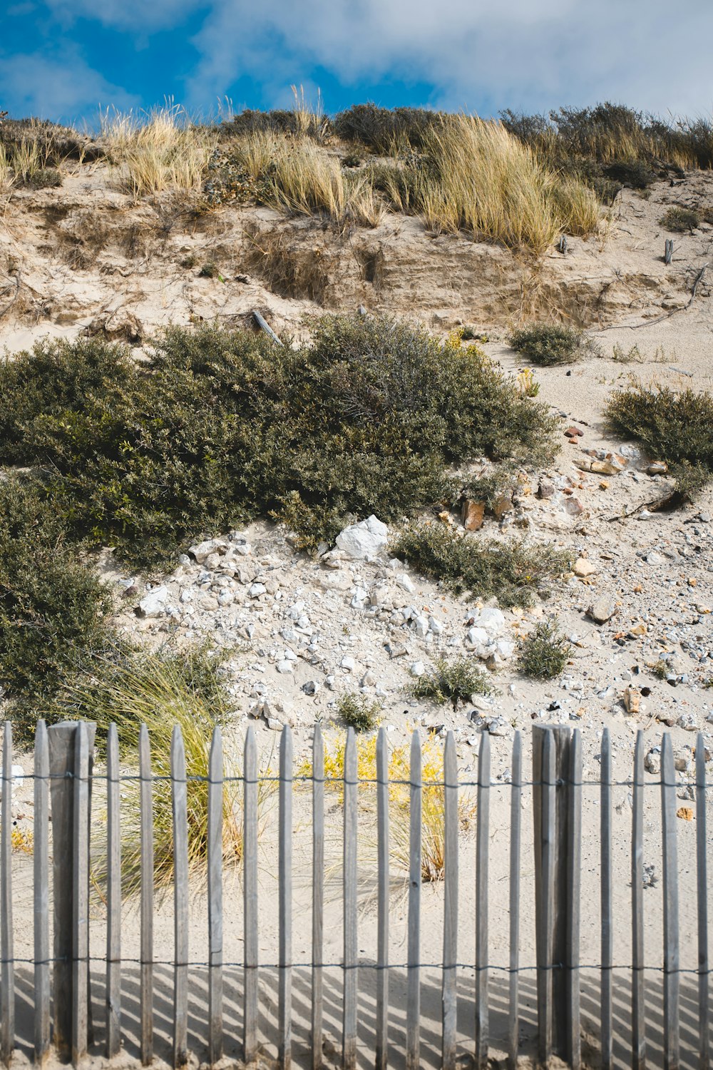 white wooden fence on brown soil