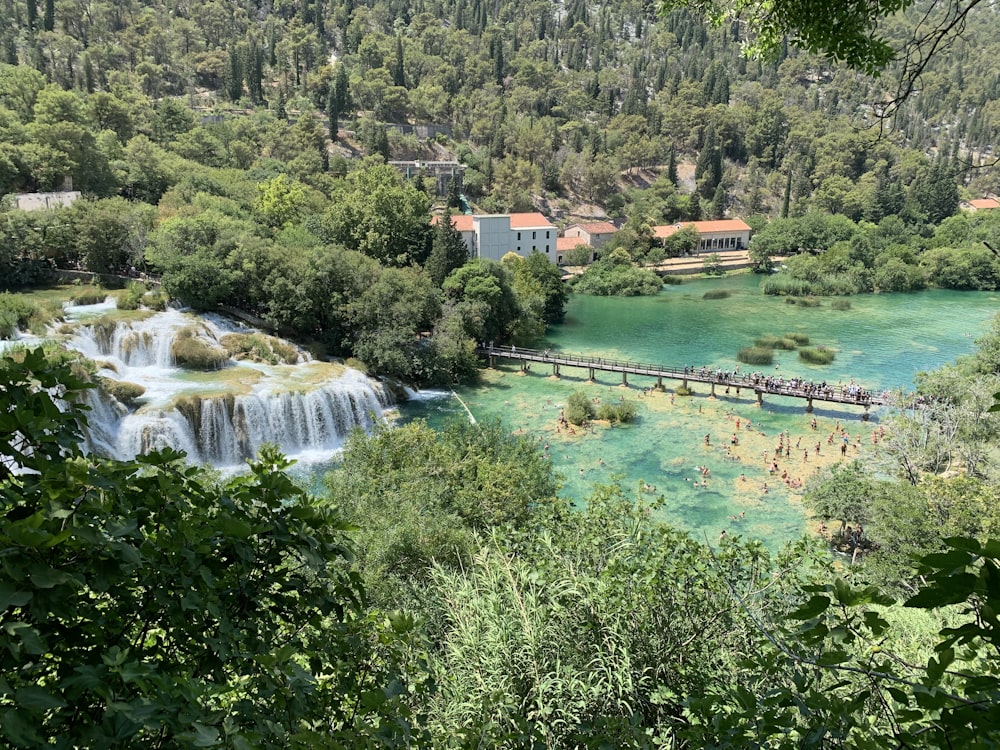 green trees near body of water during daytime