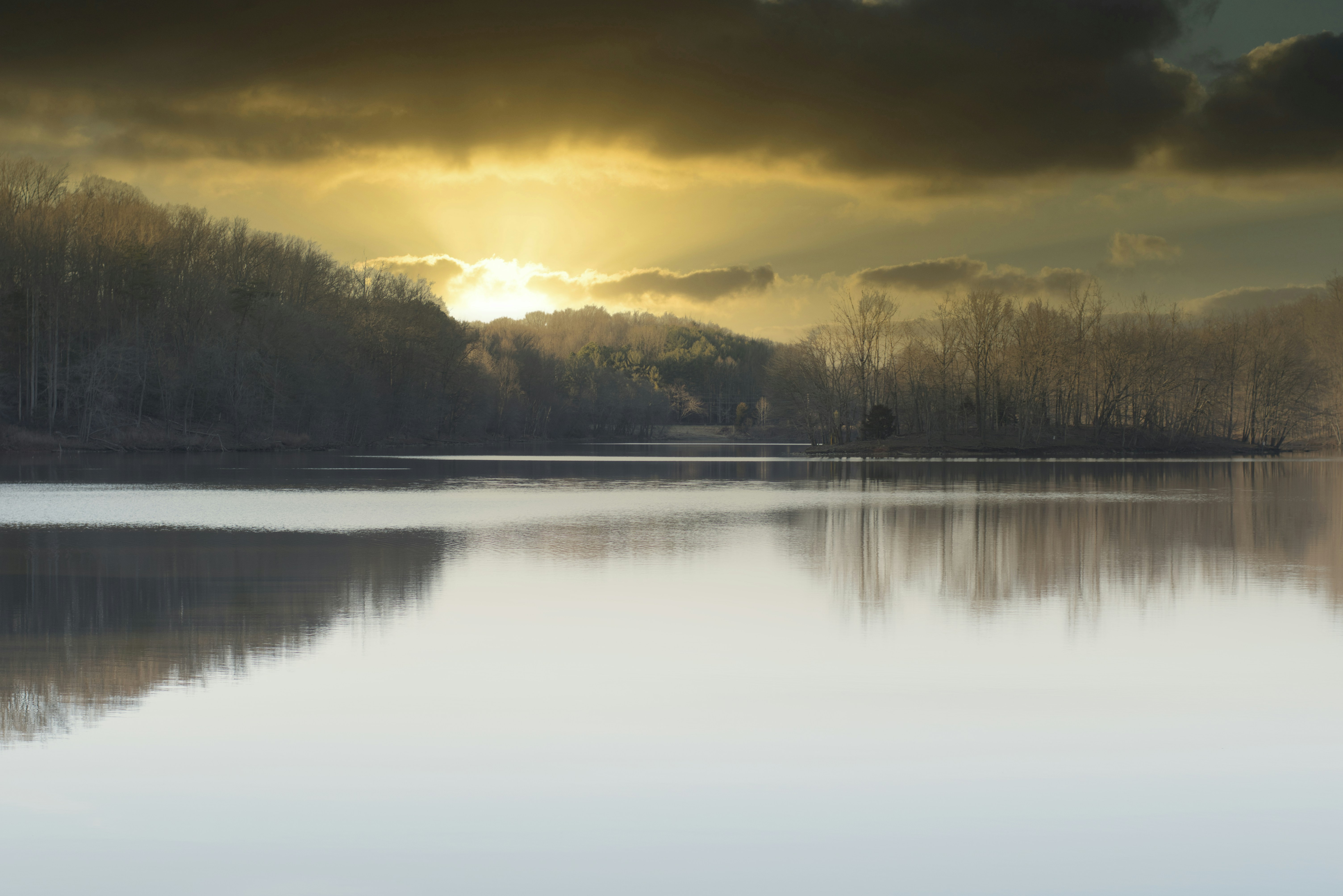 Photo by jariel_laureano