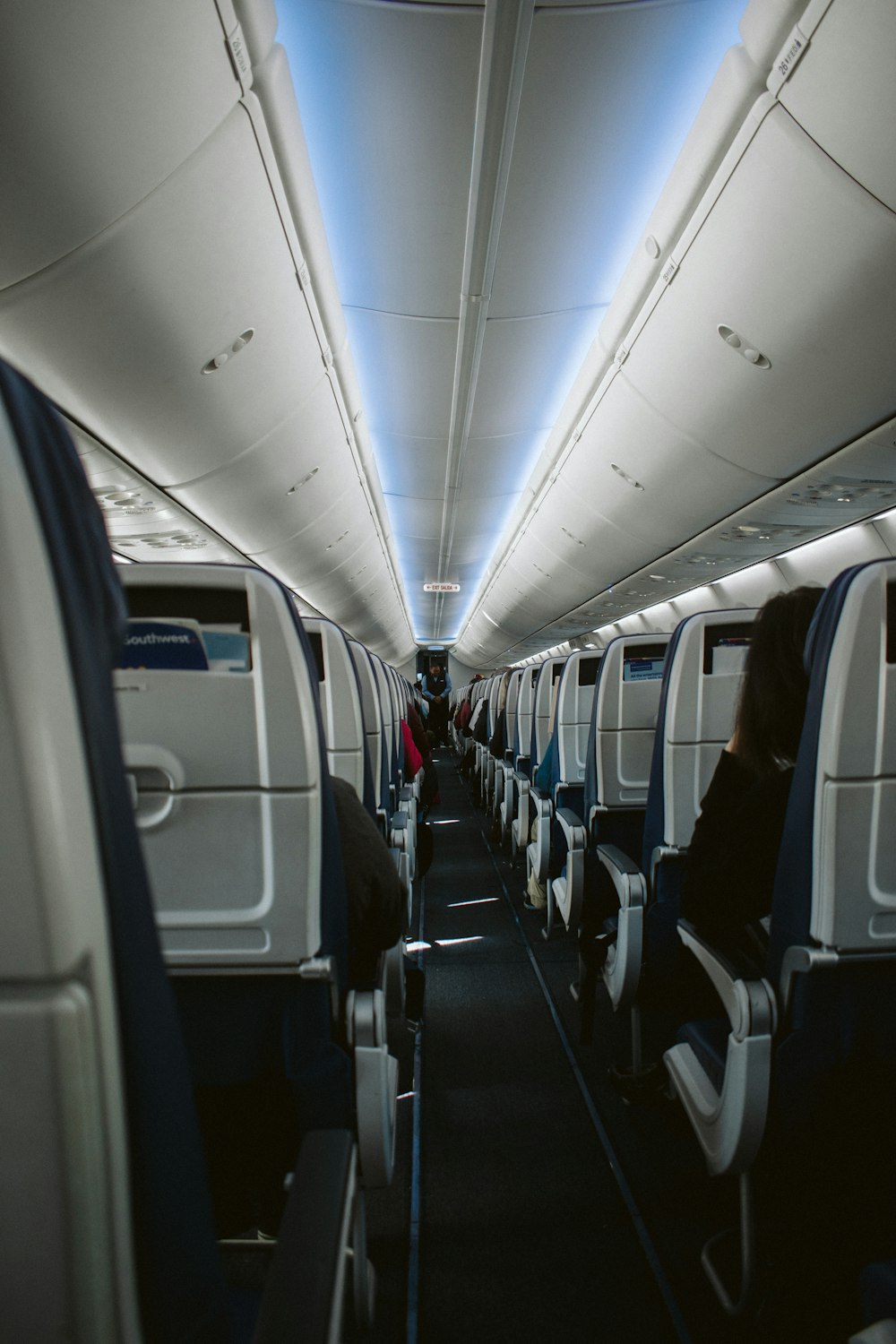 white and blue airplane seats