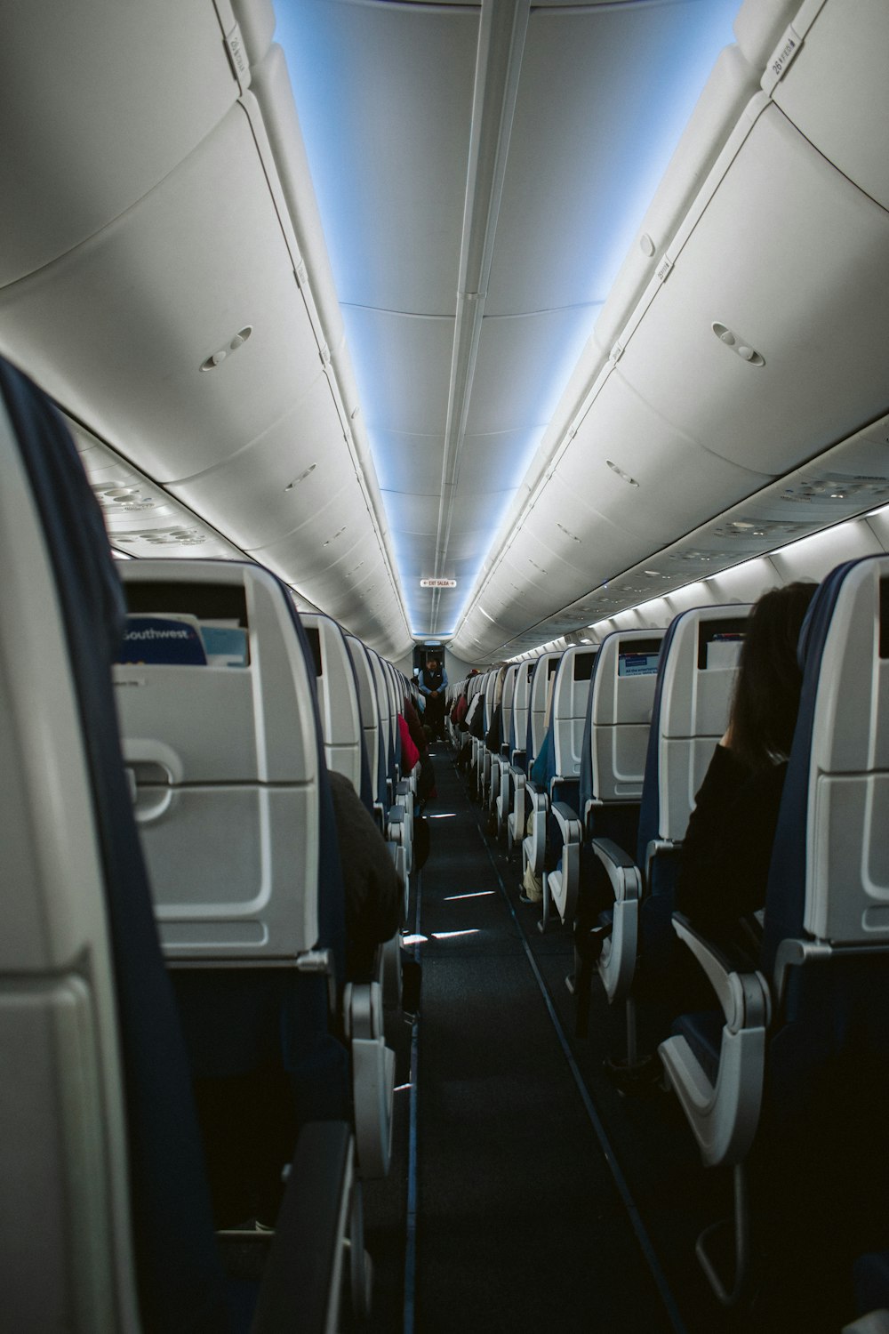 白と青の飛行機の座席