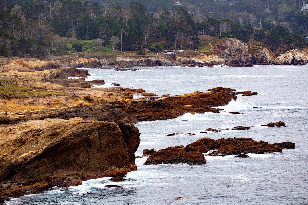 brown rock formation near body of water during daytime