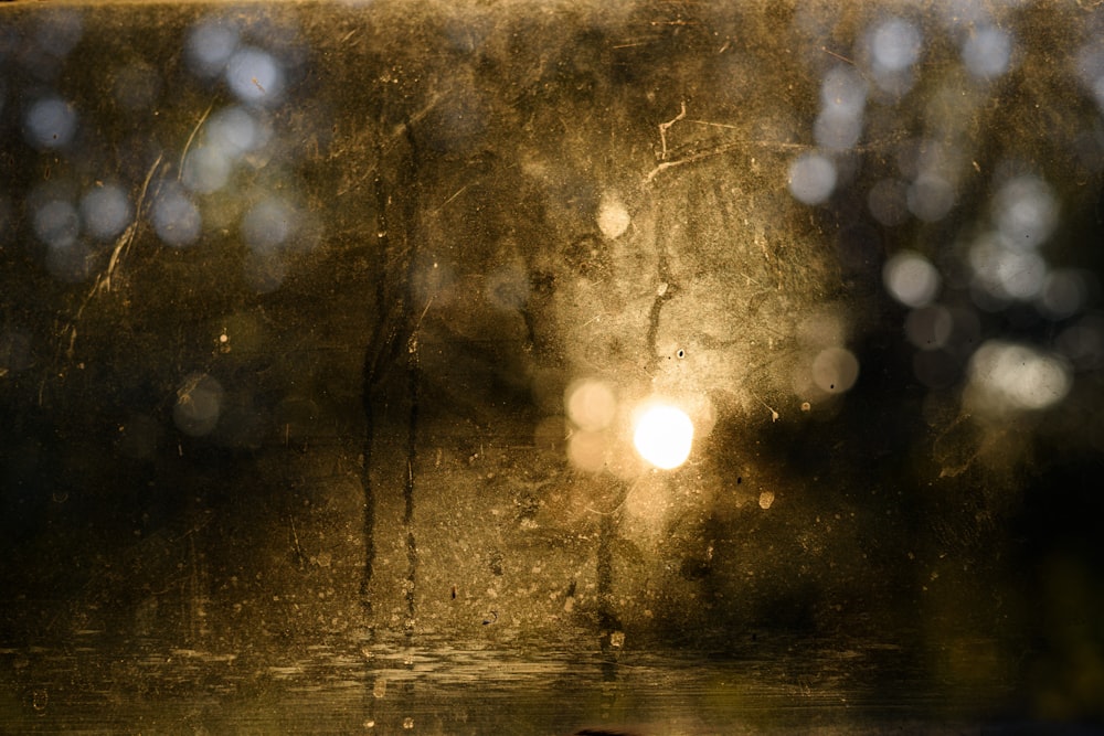 water droplets on glass during daytime