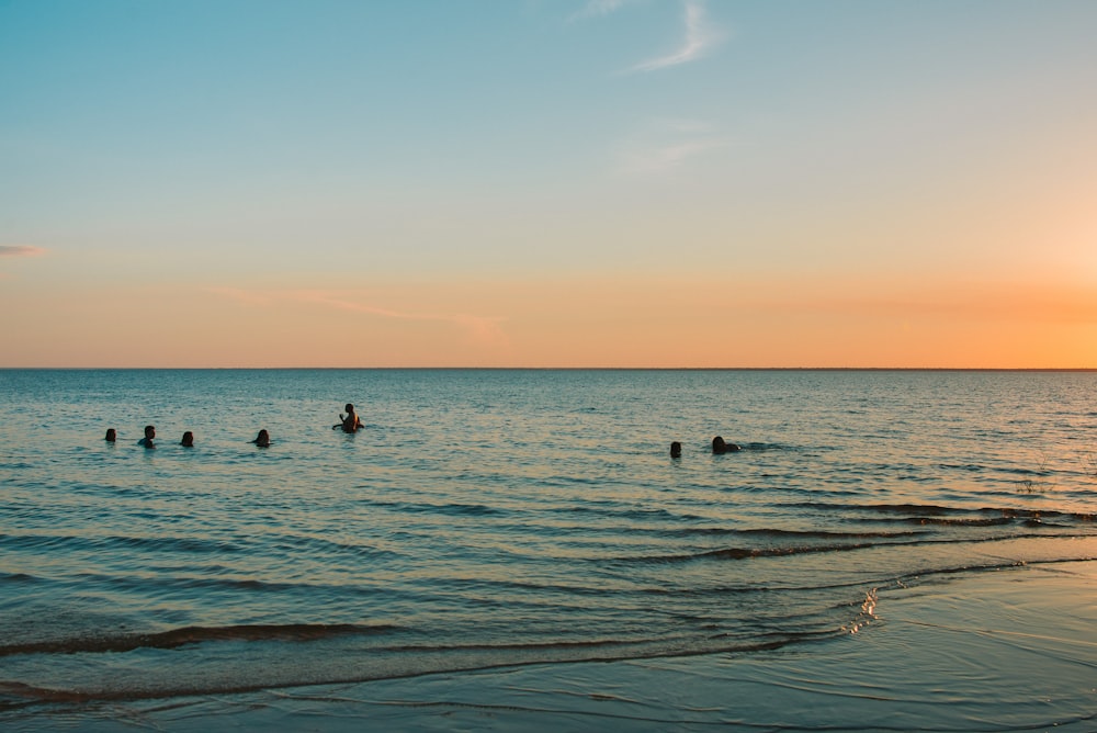 people swimming on sea during sunset