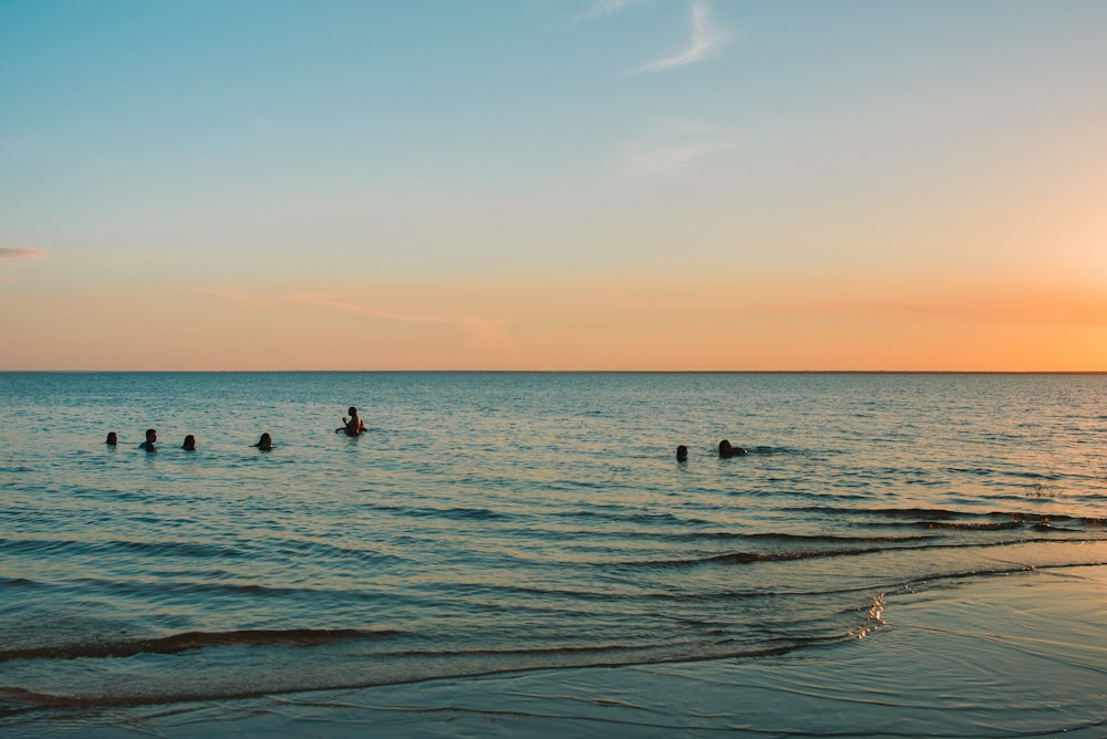 Gente nadando en el mar durante la puesta del sol