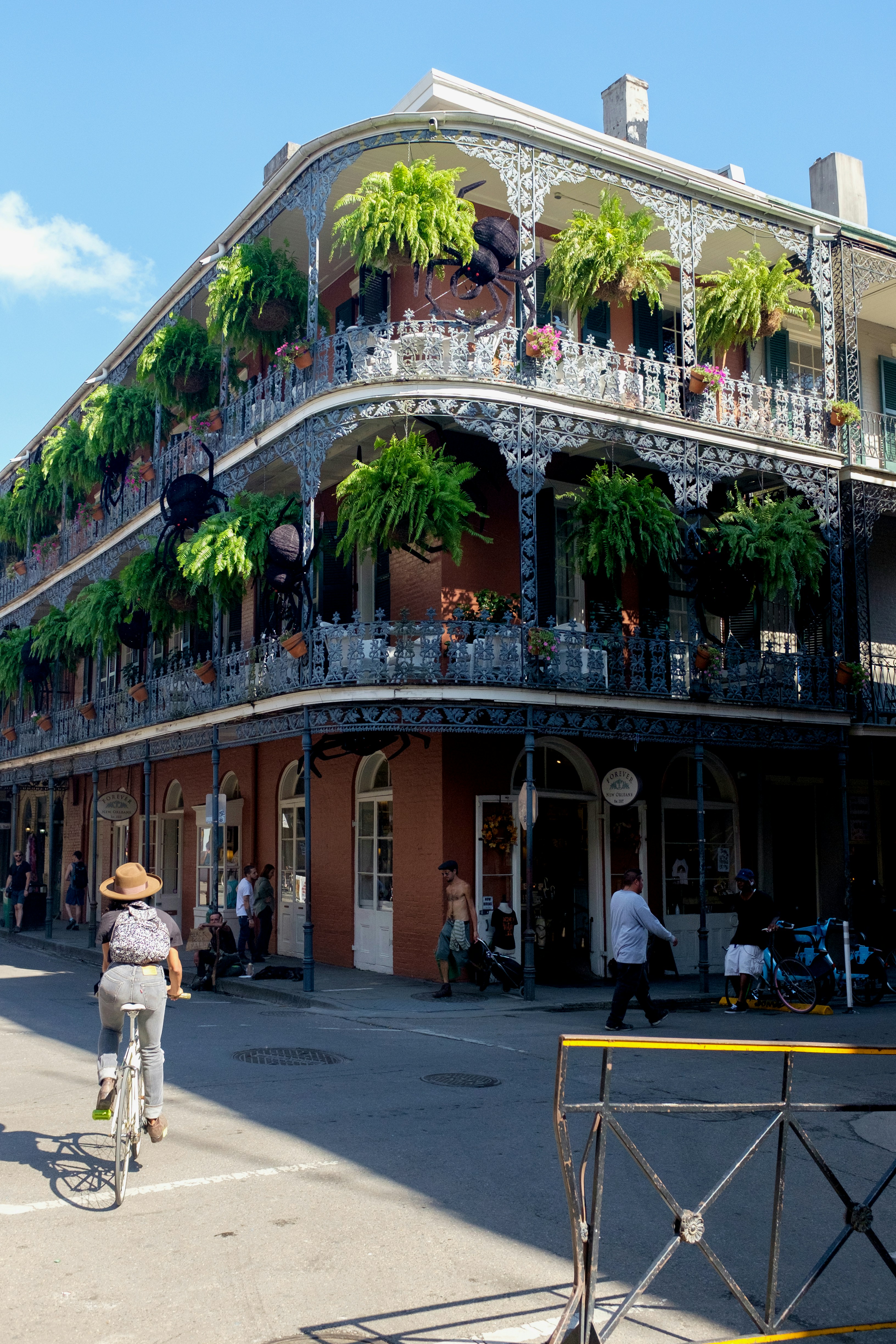 New Orleans image