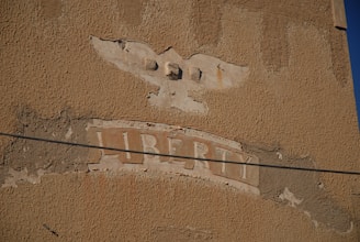 A weathered wall with an embossed eagle at the top and the word 'LIBERTY' engraved beneath it. The surface appears rough and aged, with patches of peeling and fading texture. A dark wire runs horizontally across the image.