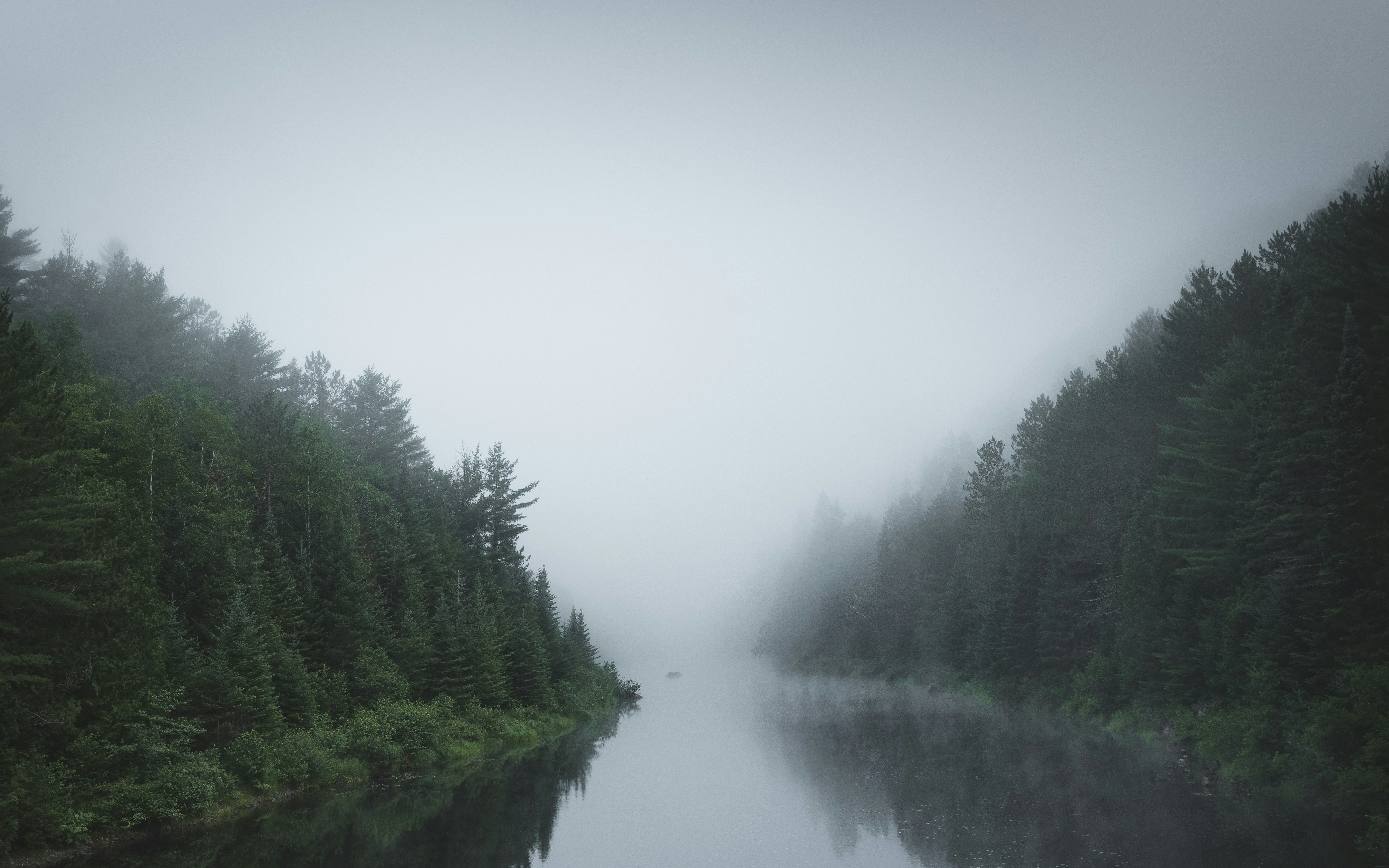 Trois-Rivières, Canada - A silent, peaceful moment lost in the morning fog over the river in the Ouareau forest.