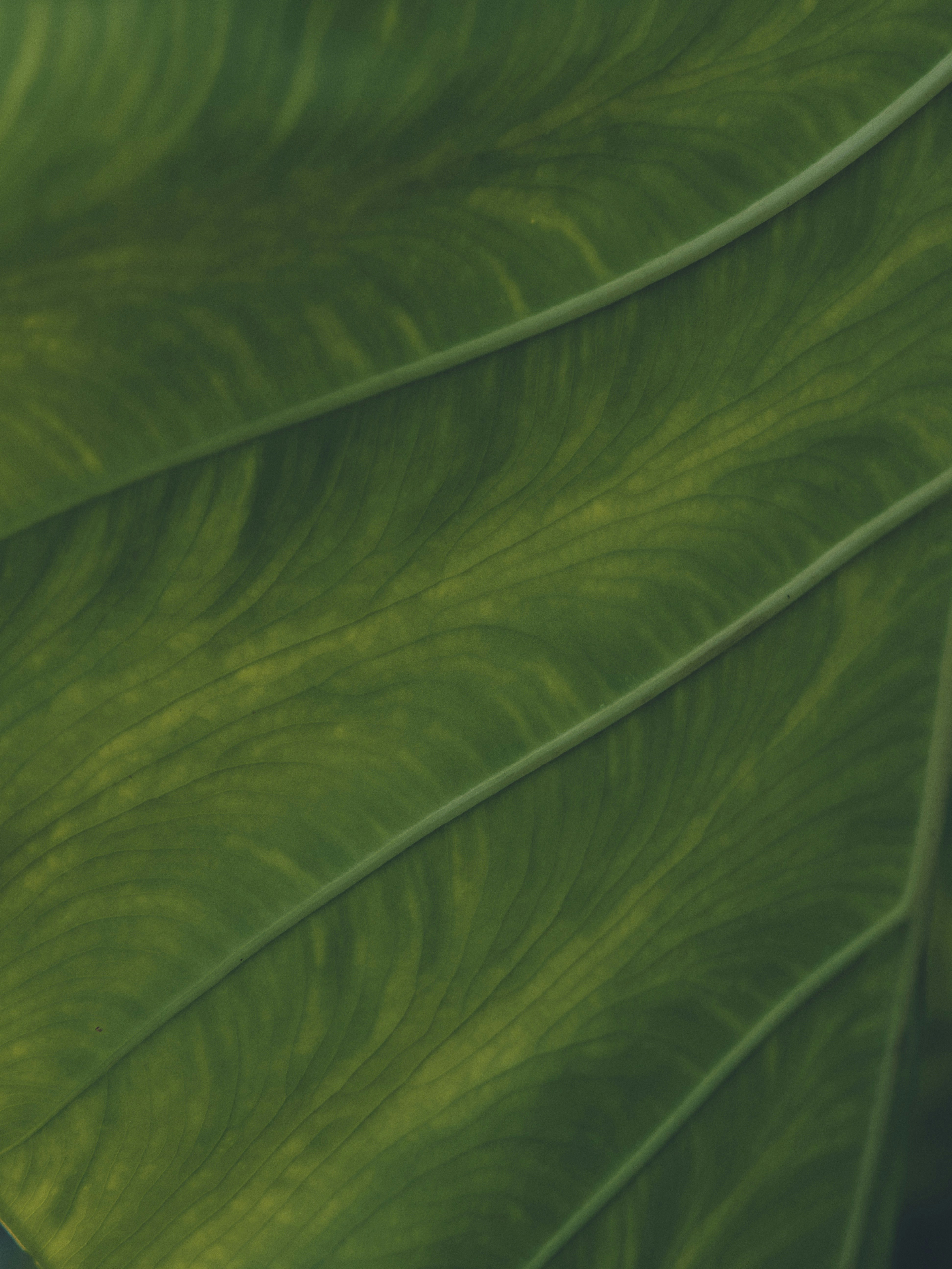 Photo by aaronburden