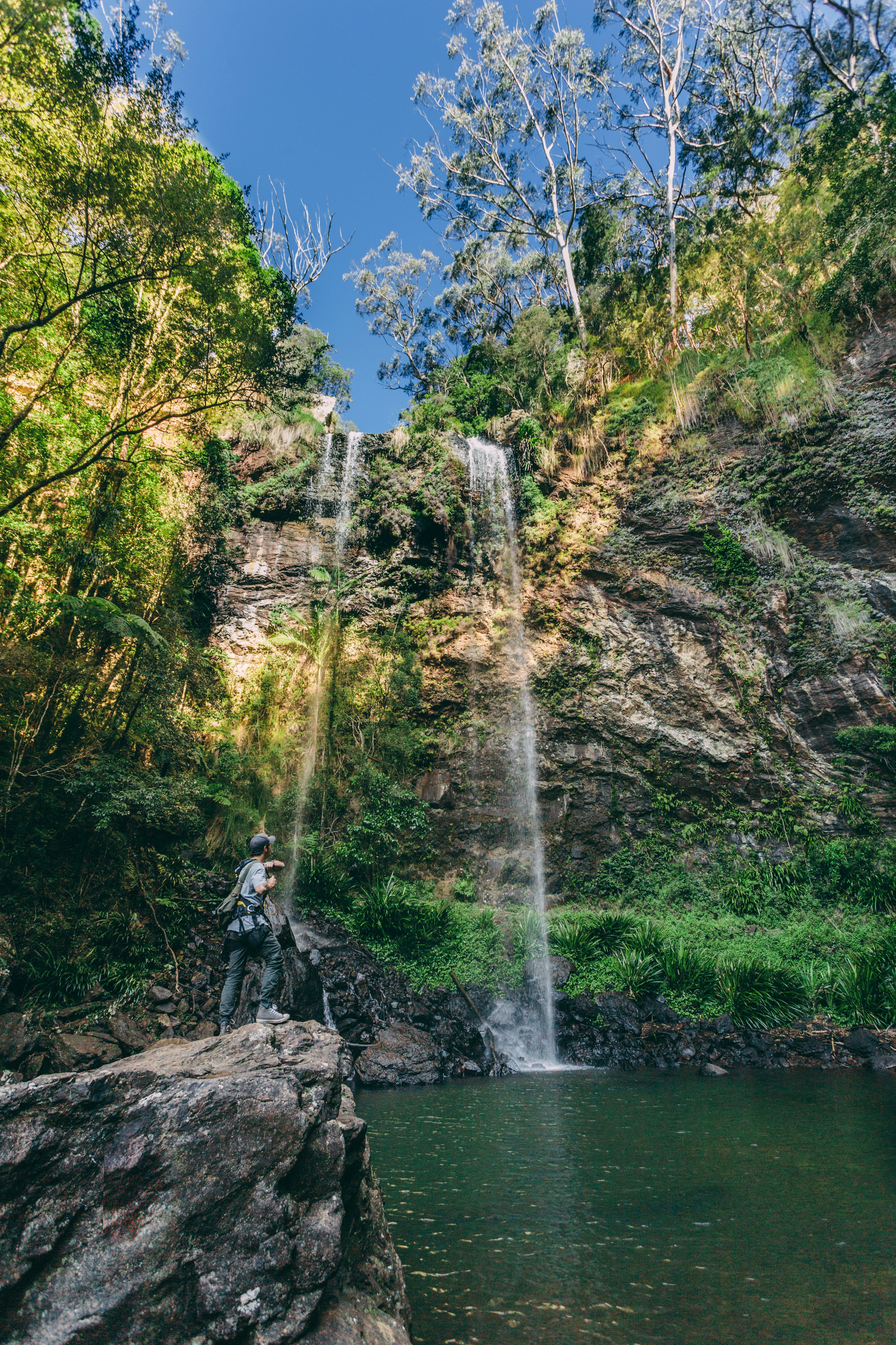 Springbrook, Queensland