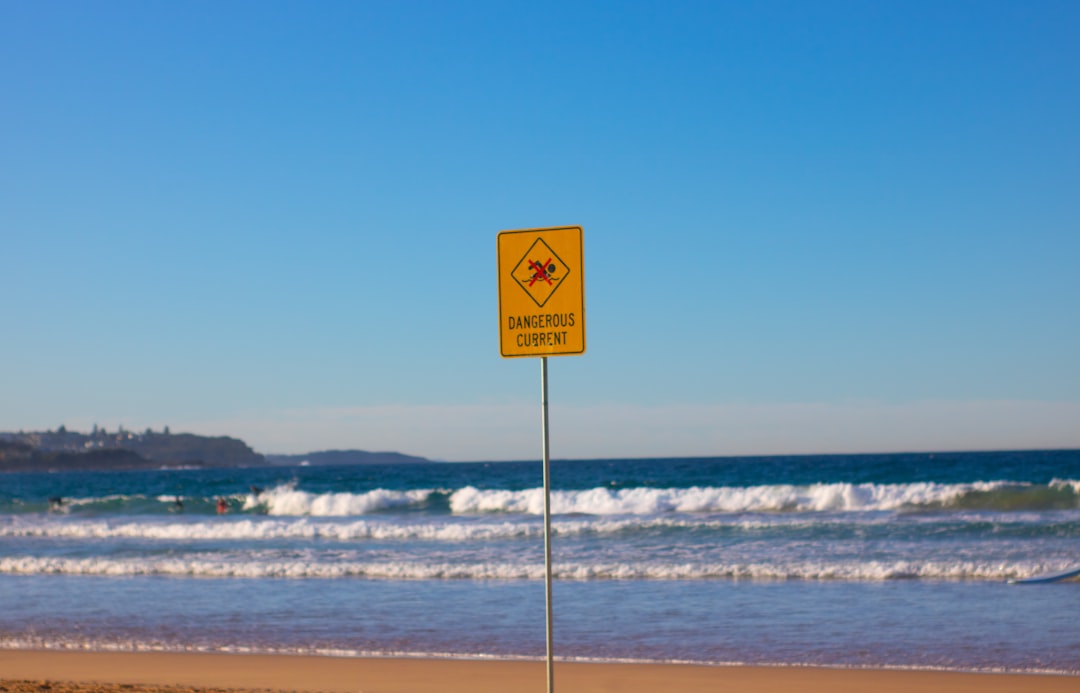 Beach photo spot Manly NSW Bondi Beach