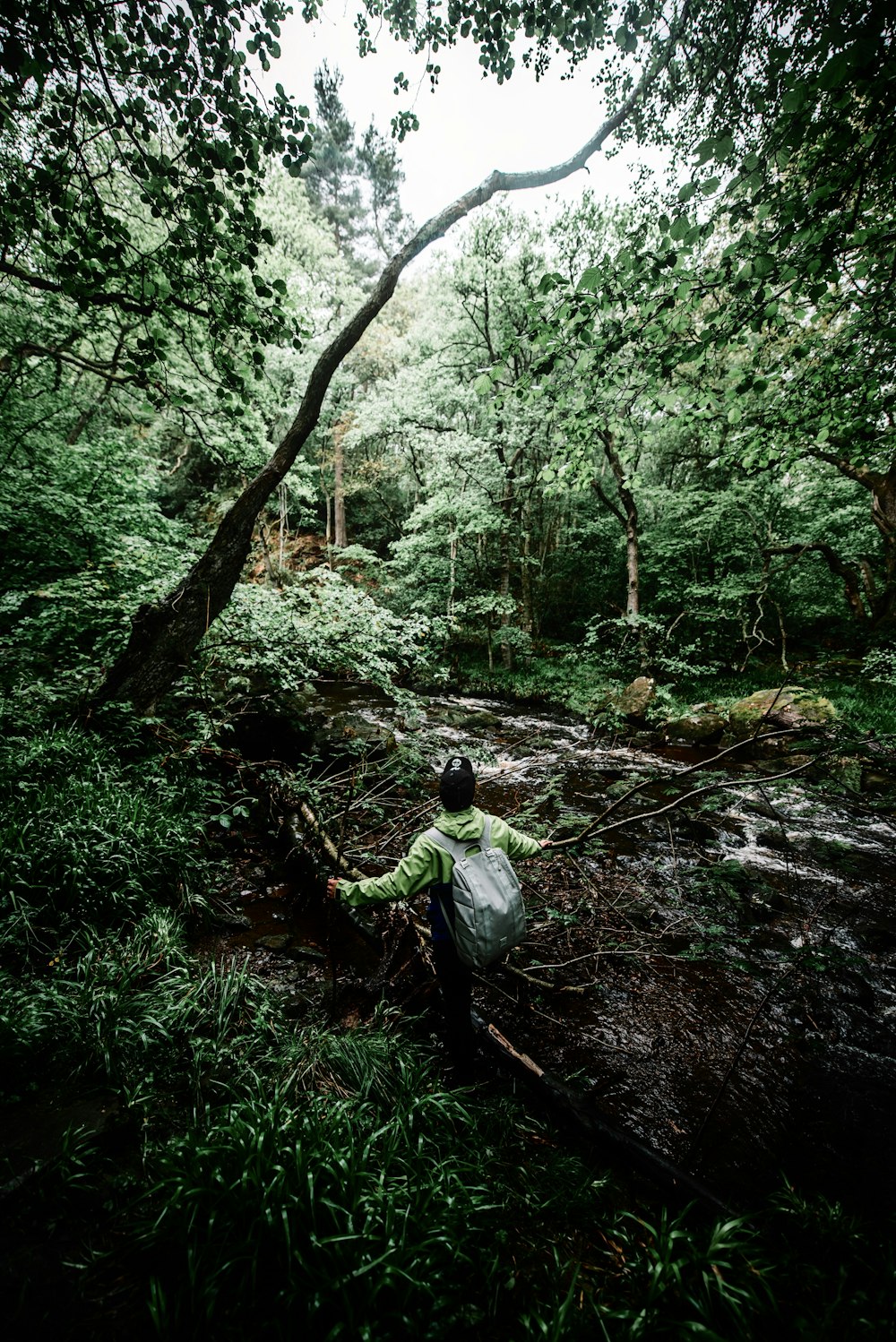 man in white dress shirt and blue denim jeans sitting on brown rock in the forest