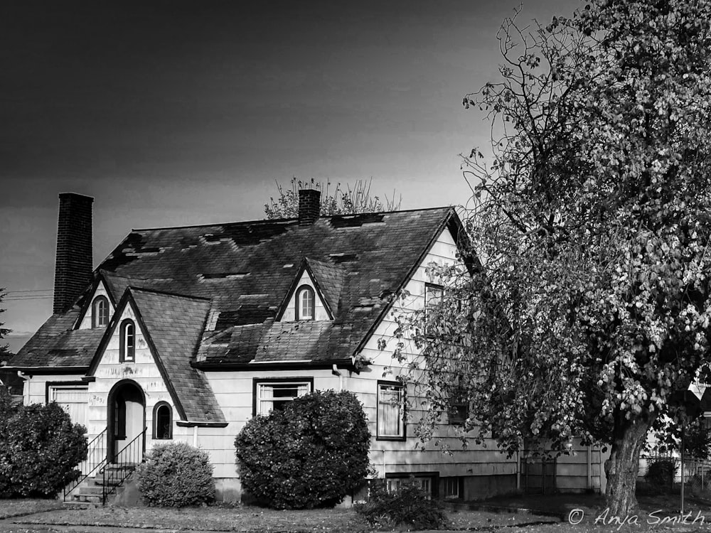 grayscale photo of house near trees