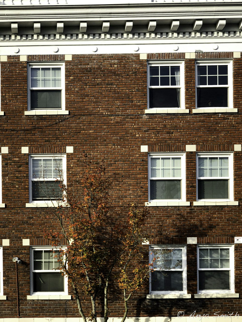 brown brick building with white framed windows