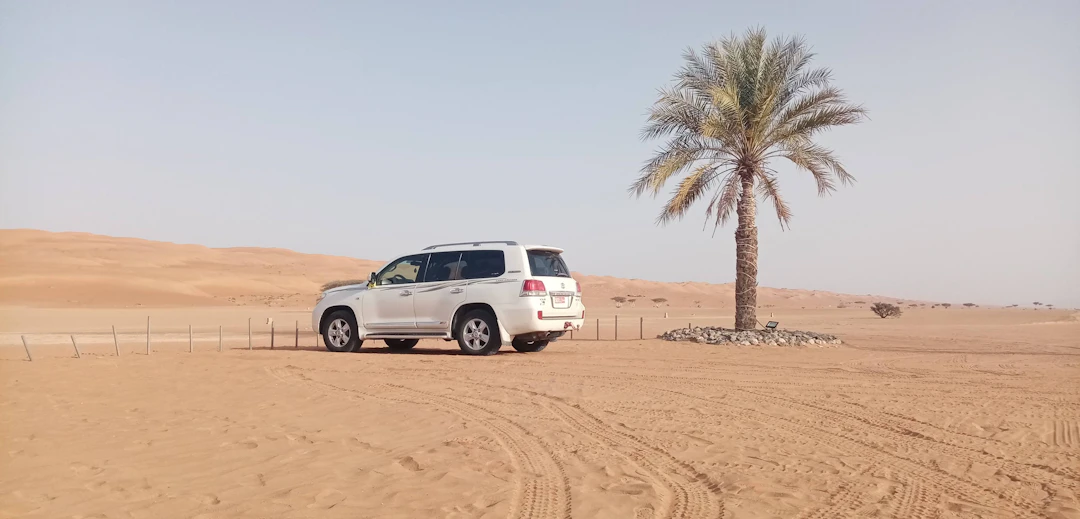 19-Day Luxury Oman Itinerary: Epic Mountains & Coastline