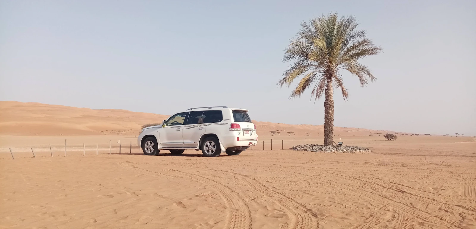 A white four-wheel-drive vehicle stopped beside a palm in Oman's sand