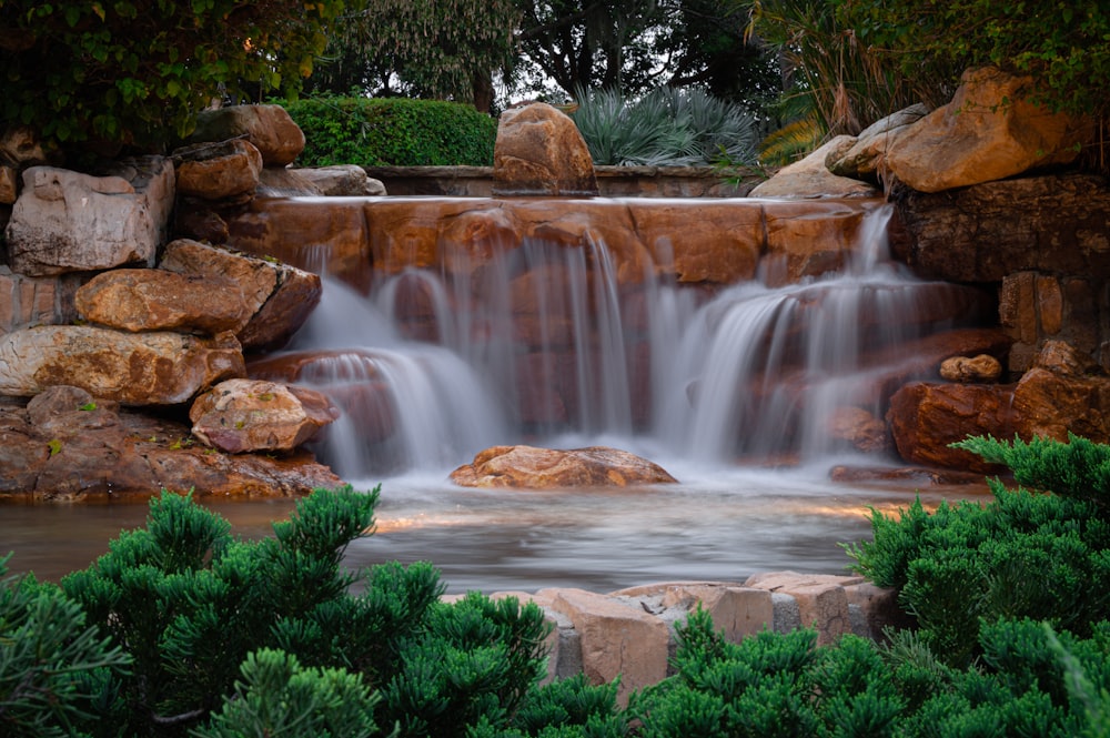 water falls with green plants