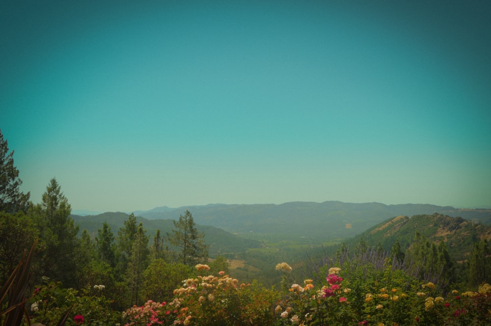 a view of a mountain range from a distance