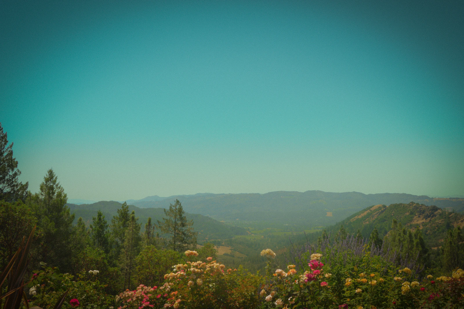 Solage