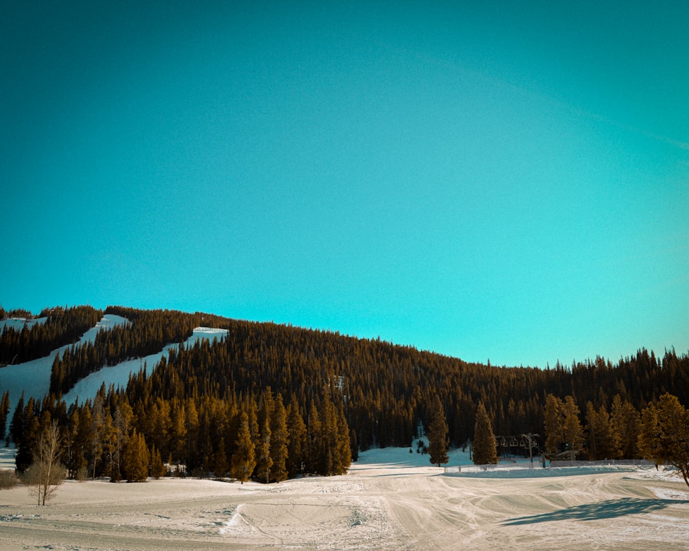 a person riding a snowboard down a snow covered slope