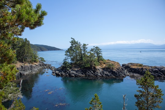green trees on island surrounded by water during daytime in Sooke Canada