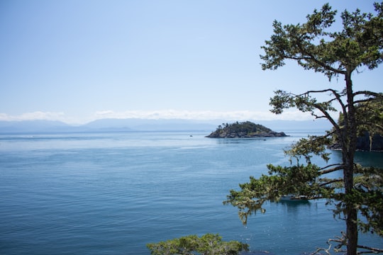 green trees near body of water during daytime in Sooke Canada