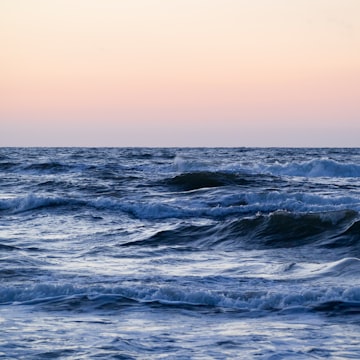 Cover Image for August Happy Hour