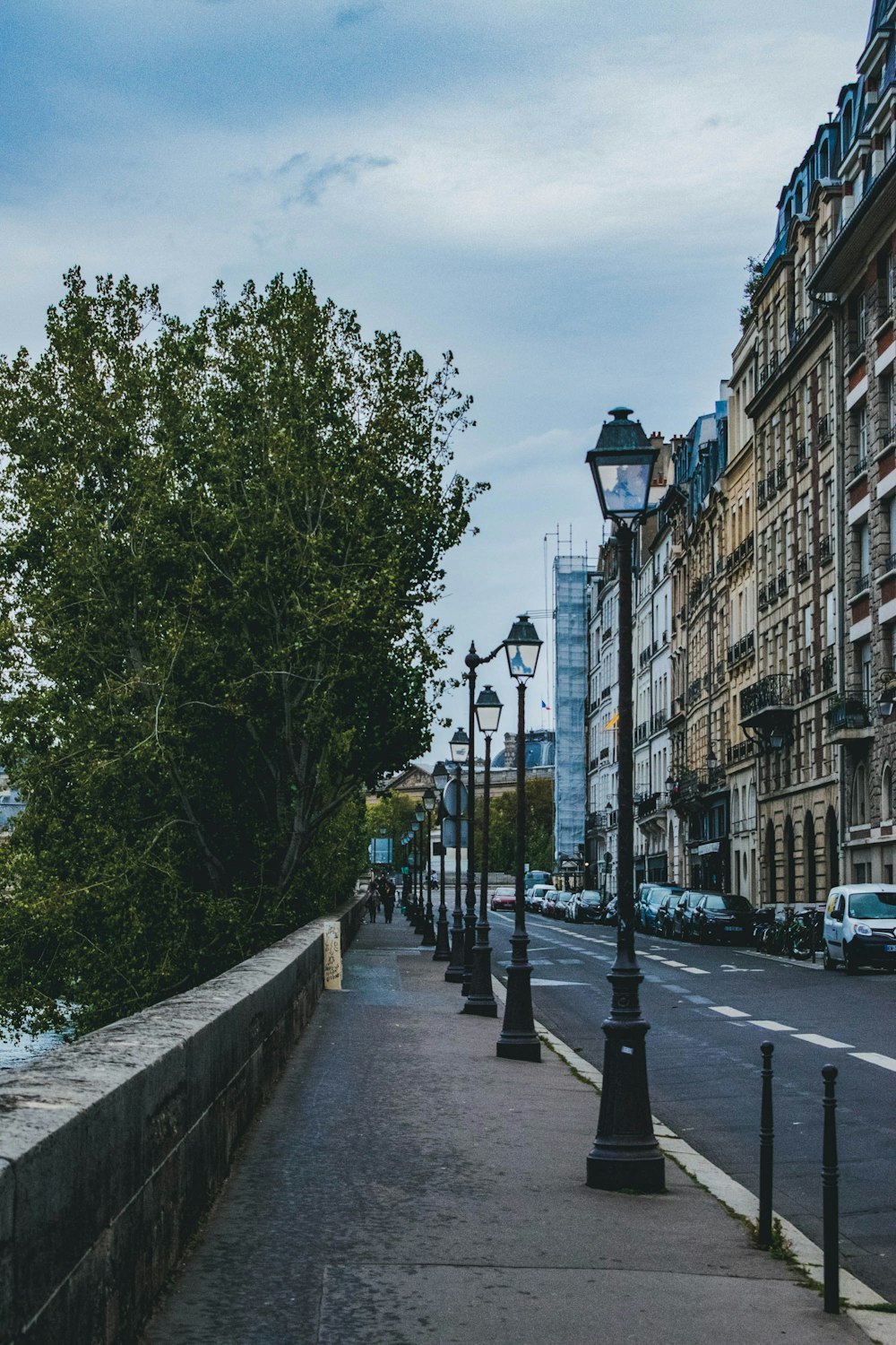 green trees on sidewalk during daytime