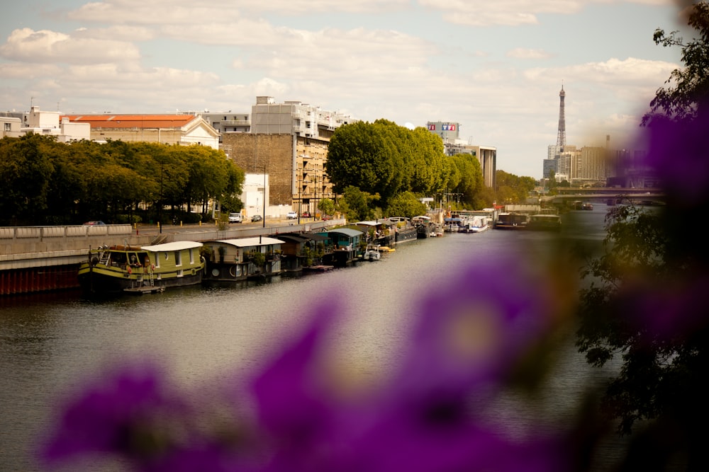 river between houses during daytime