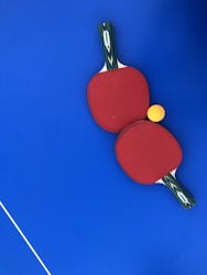 Mastering the Art of Ping Pong: Tips and Resources