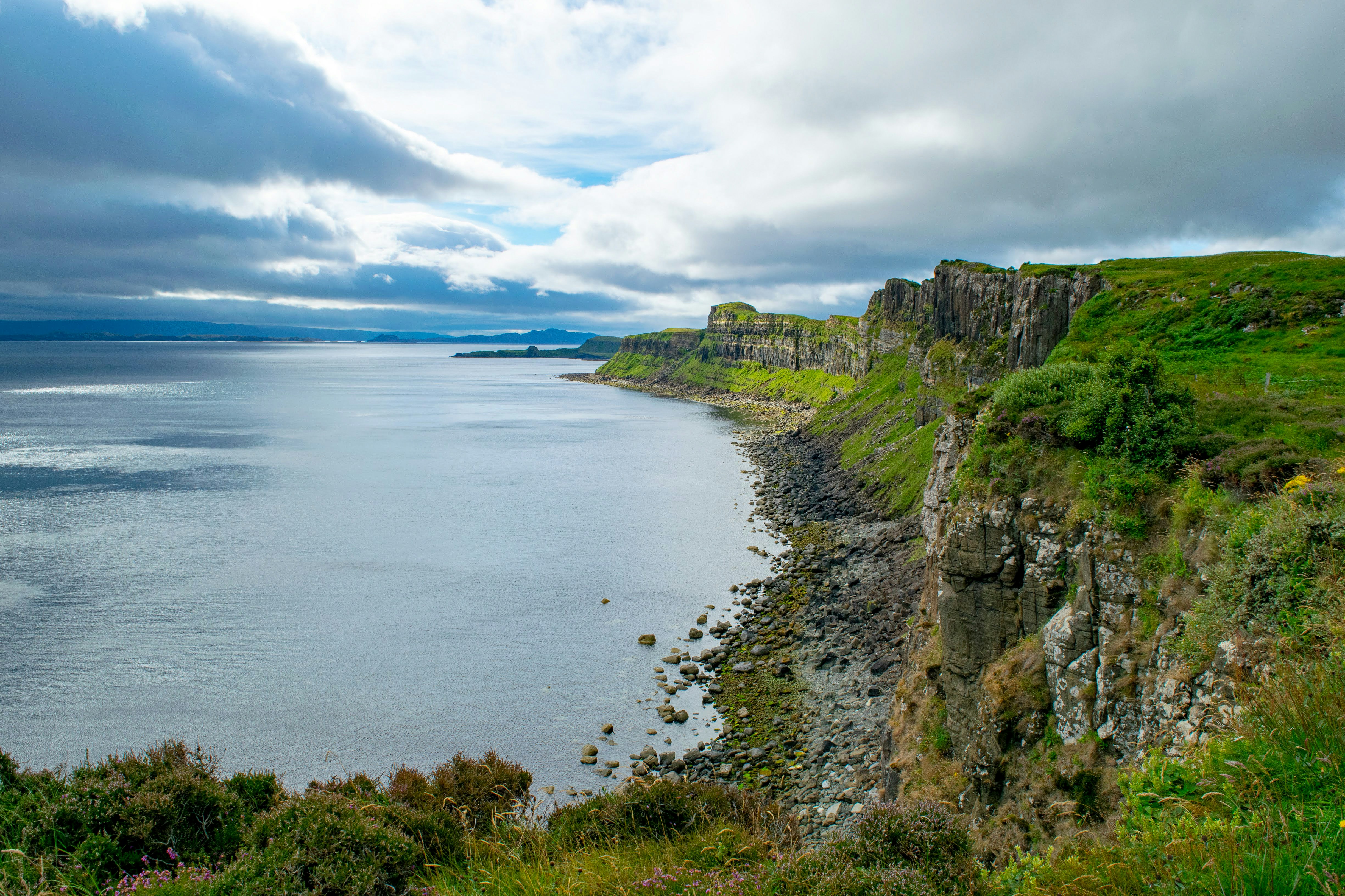 Photo by mangotreetrading