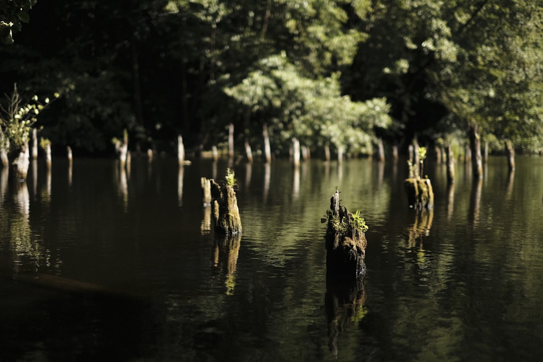 travelers stories about Natural landscape in Ugod, Hungary