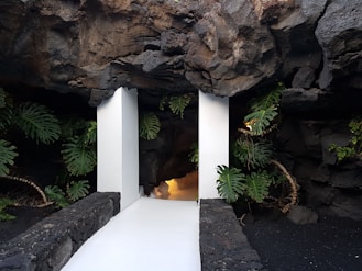 white concrete pillar near green palm plant