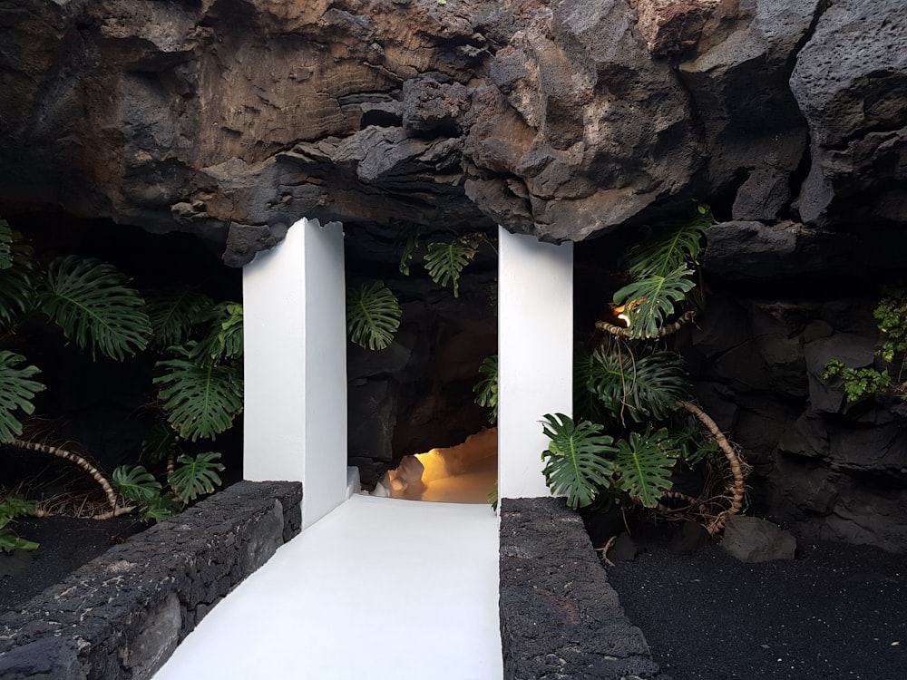 white concrete pillar near green palm plant