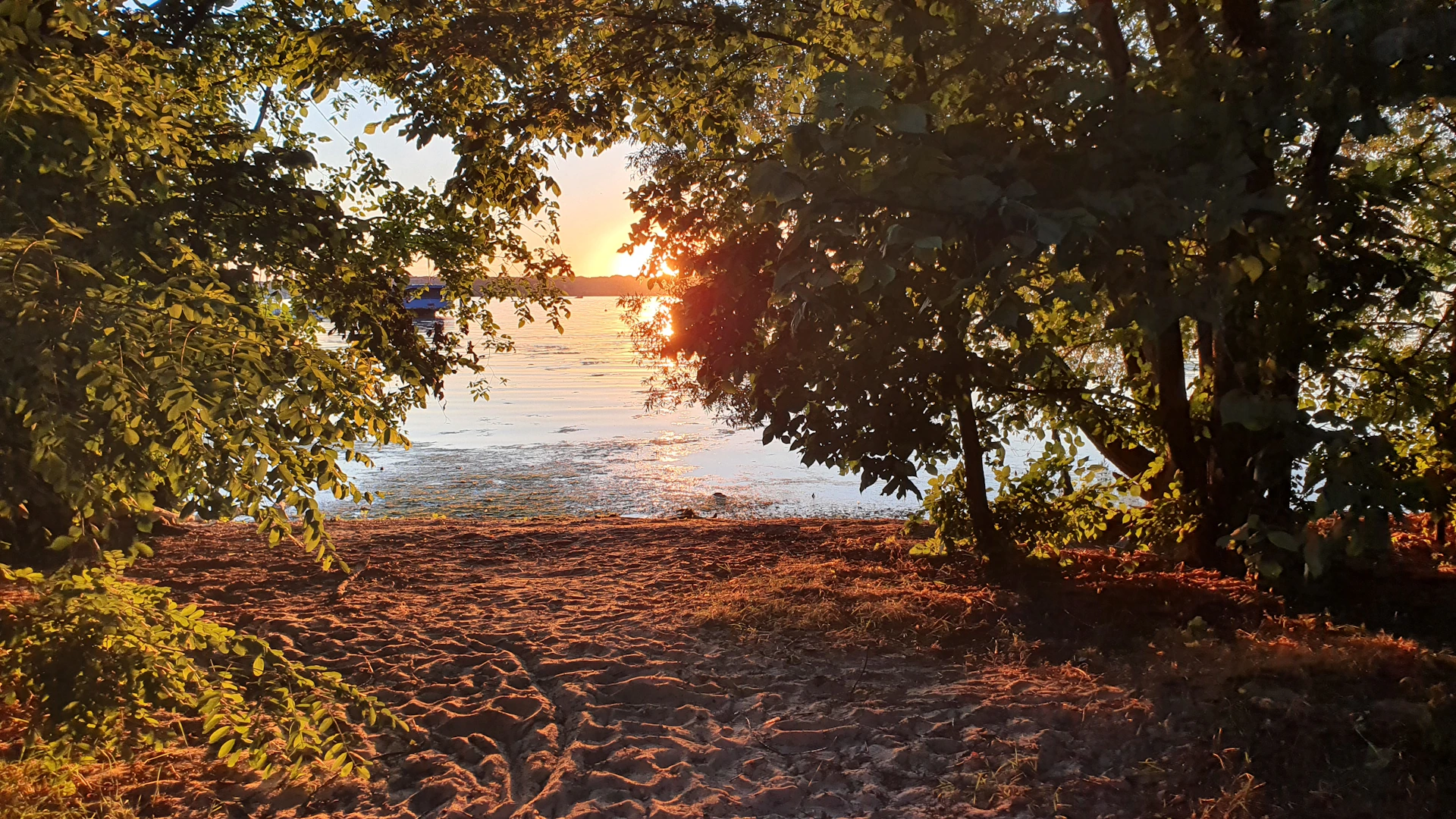 Golden hour light filtering through moss-draped oak trees in a serene Carolina Low Country marsh.