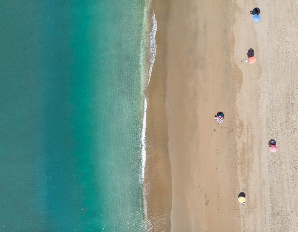 people on beach during daytime