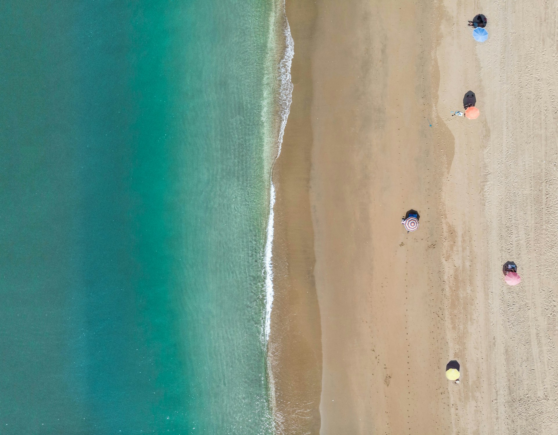 people on beach during daytime