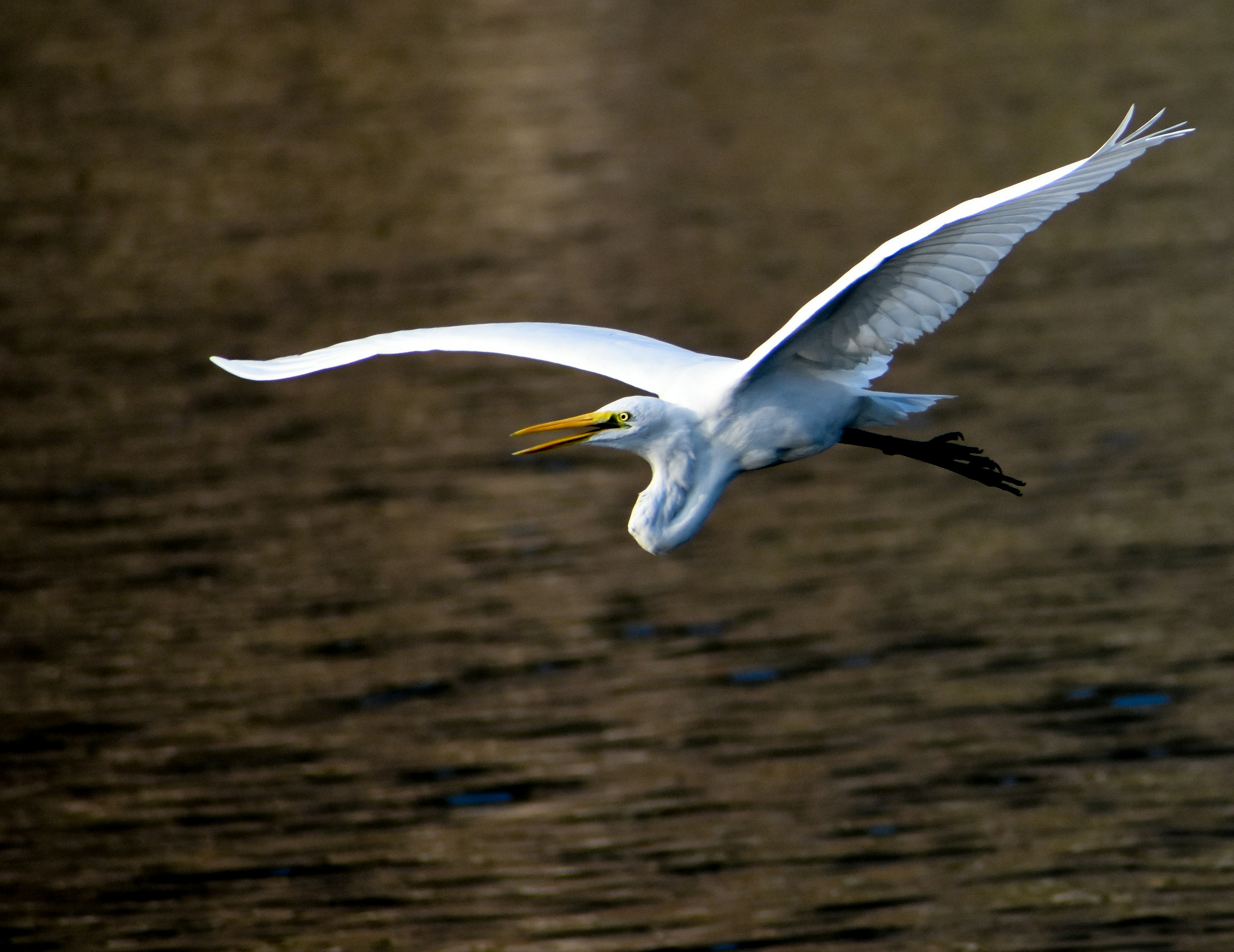 Photo by devansh_photogapher