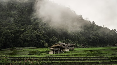 brown wooden house on green grass field during daytime