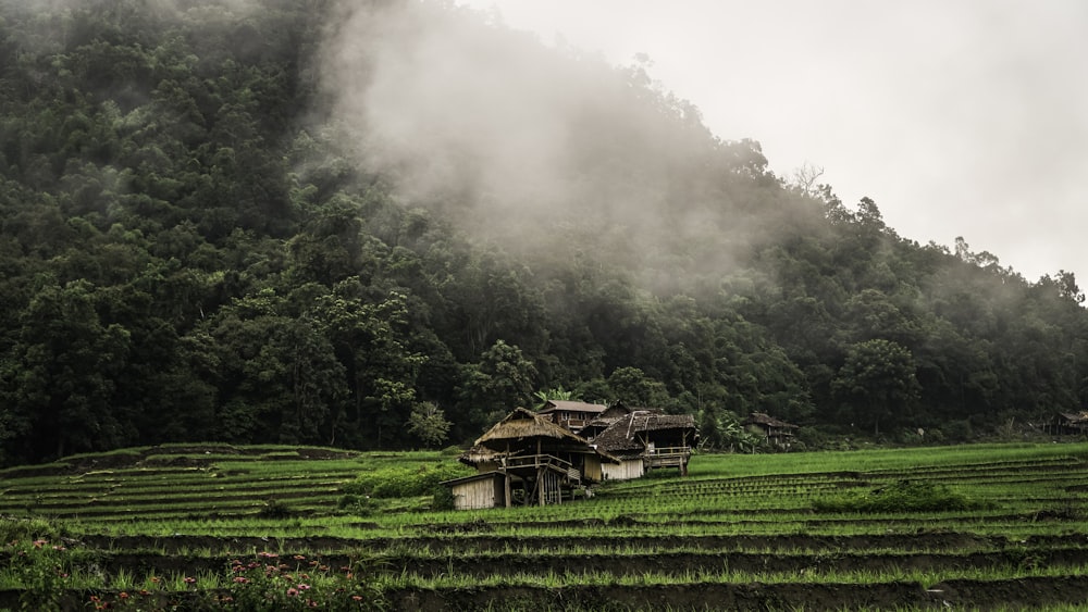 brown wooden house on green grass field during daytime