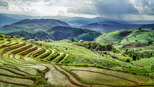 green grass field under white clouds during daytime in Mae Chaem Thailand