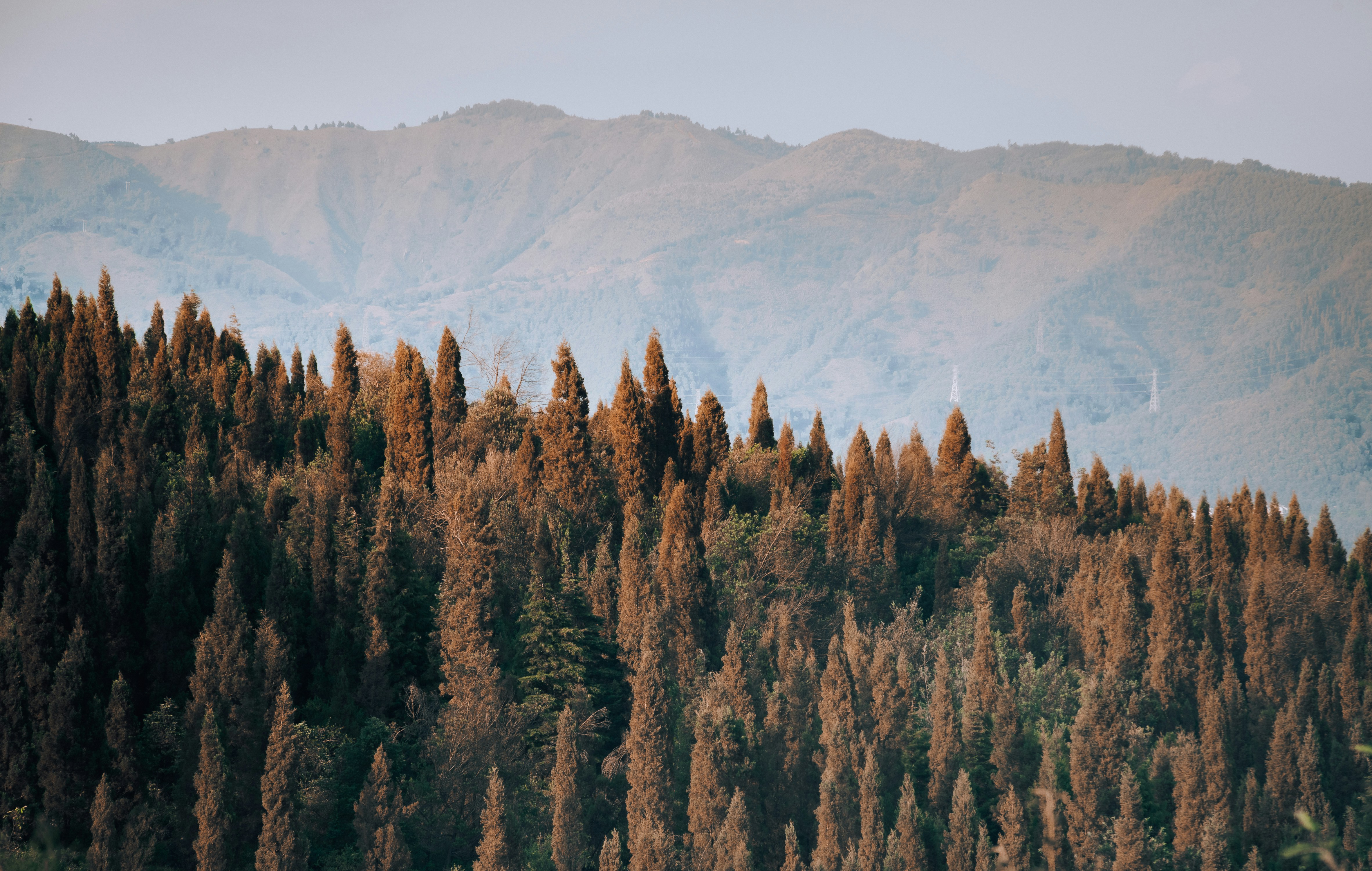 Photo by radsupercell