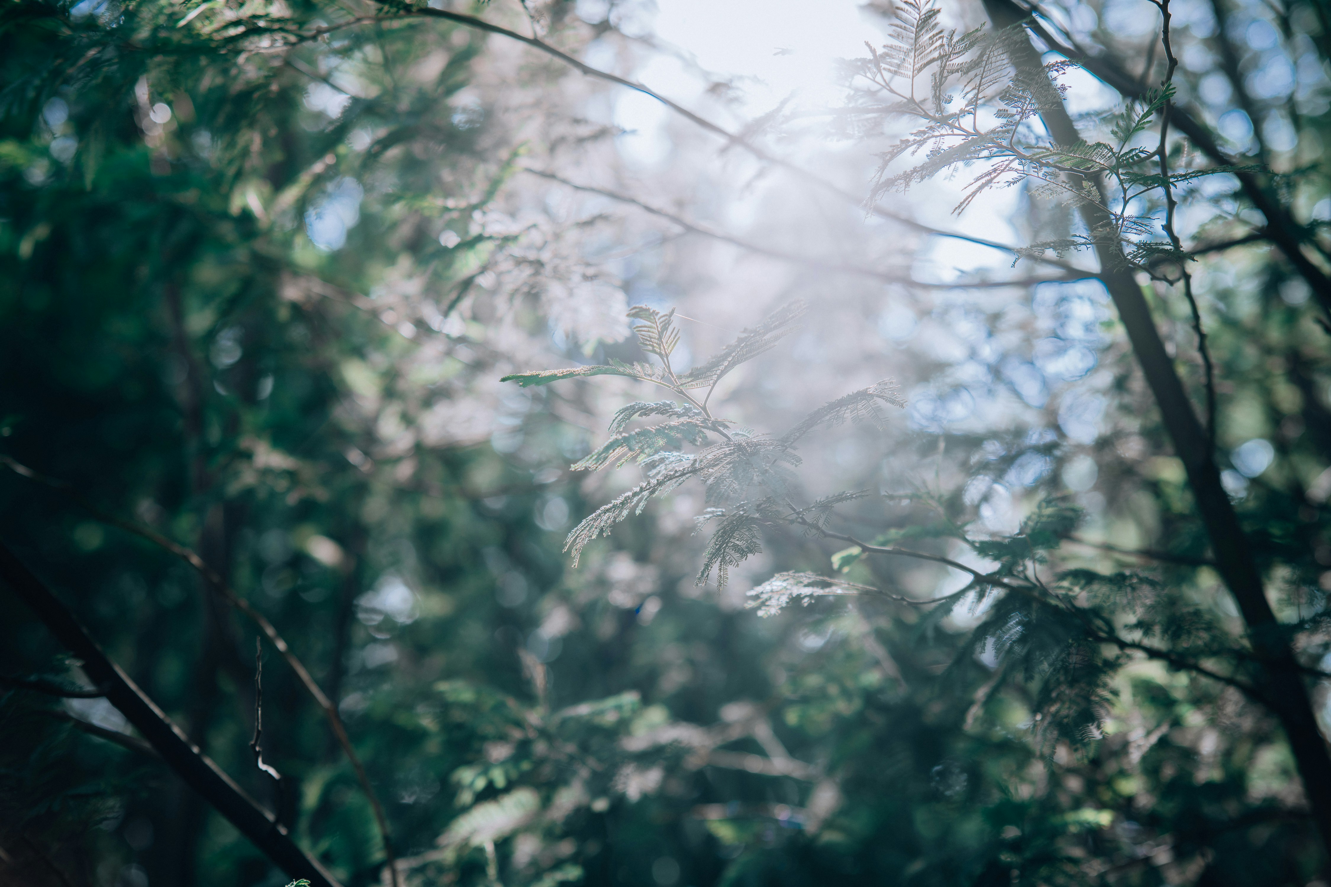 Photo by radsupercell