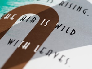 A close-up view of graphic text art with different fonts and colors, displaying the phrase 'THE AIR IS WILD WITH LEAVES' in black, contrasting against a geometric background of various shades. The background consists of a mix of earthy brown, pale blues, and greens.